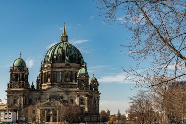 Berlin cathedral yanında bir ağaç