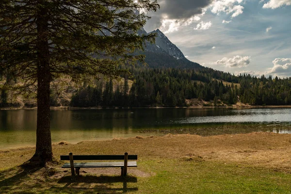 En ensam bänk i närheten ett träd i syfte att Alperna och Ferc — Stockfoto