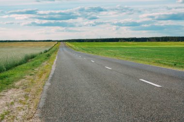 Kırsal otoyol ülkede yol