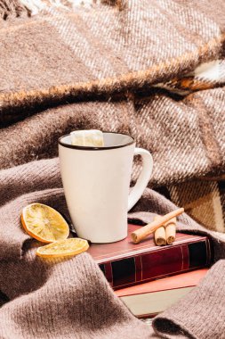 Bir fincan kuru limon ve tarçın