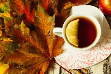 Porselen fincan çay ve akçaağaç yaprakları ile
