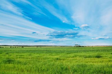 Yaz, yatay, yeşil alan ve gökyüzü