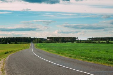 Orman ve alanı boş yol asfalt