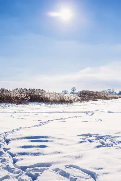 겨울 호수와 하늘에 태양에 snowdrifts — 스톡 사진