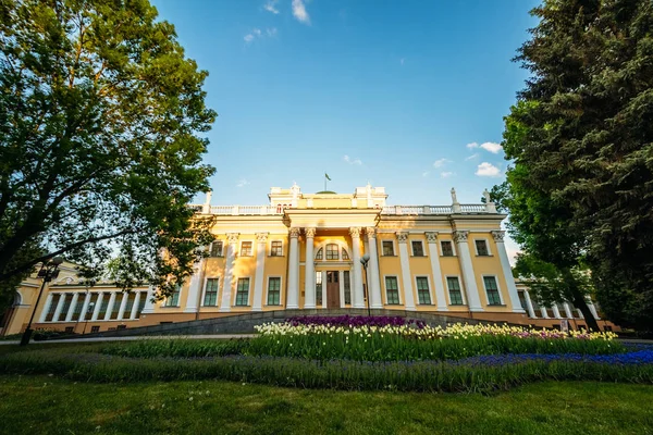 궁의 Paskevich 호몔 공원에서 여름에 — 스톡 사진