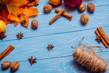 Güzel natürmort bir anason tarçın ile bir akçaağaç yaprakları