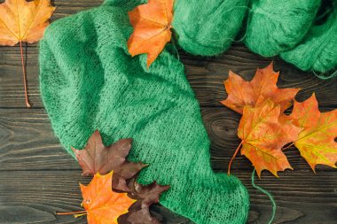 Yeşil iplik ve akçaağaç yaprakları panoları