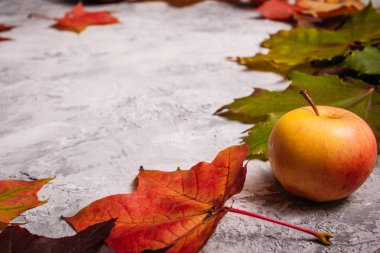 Beton sarı elma ve kırmızı akçaağaç yaprağı