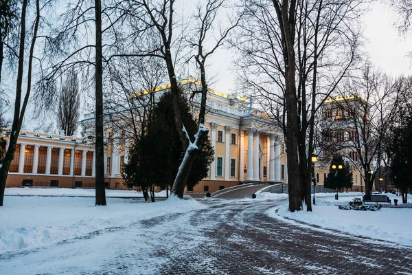 Взимку парк з на палац з Румянцева-Федоровича Паскевича — стокове фото