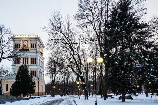 Часовая башня в парке в зимнее время — стоковое фото