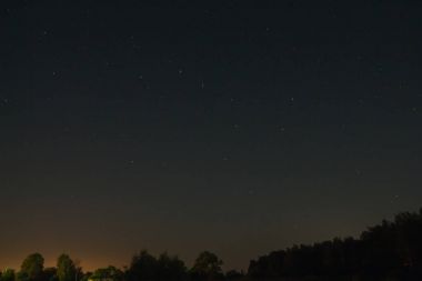 Orman yukarıda gece gökyüzünde büyük ayı