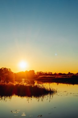 Sudaki yansıması ile nehir kıyısında günbatımı