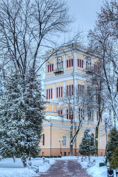 Башня дворца Румянцевых-Паскевичей зимой — стоковое фото