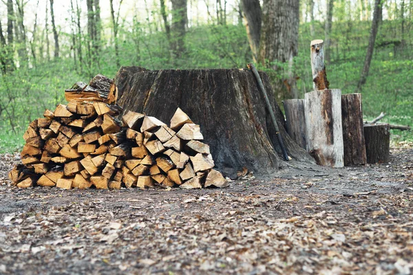 Sorguç, doğranmış 