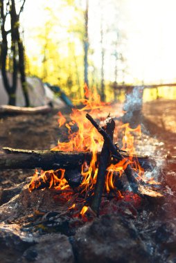 Kazıkta yemek pişirmek. Yaşam tarzı, kazıkta çay. Ormanda turist yiyeceği. Kamp ateşinde çay yapmak Kamp gezisinde.