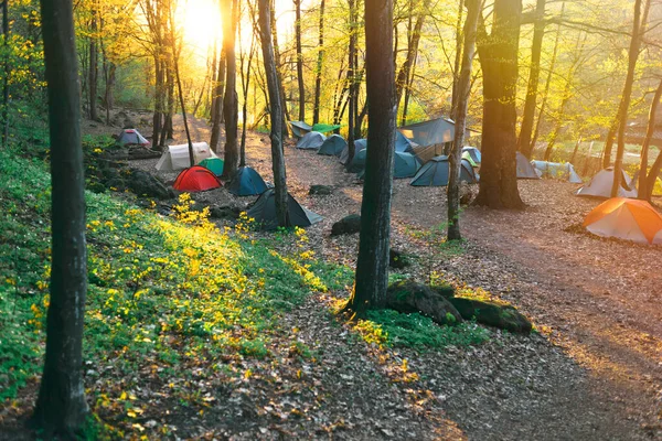 Nehir kenarındaki ormanda çadır kampı.