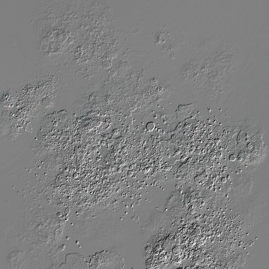 Resimde desen tasarımı, iç çalışma ve dekorasyon için.