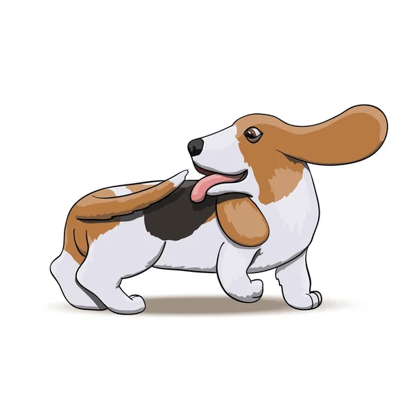 Basset Hound Jagen Zijn Staart Cartoon Hond Teken Vectorillustratie — Stockvector