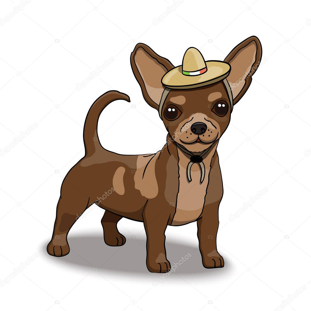 Chihuahua Smiling Cartoon Character Illustration Wearing Mexican Sombrero