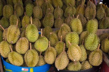Durian, Tayland meyve. tropikal meyve lezzetli, tatlı bir
