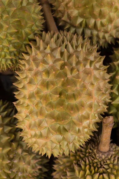 Durian,the fruit in Thailand. tropical fruit delicious, sweet an — Stock Photo, Image