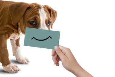 Mutlu köpek portre karton, komik gülümseme ile izole beyaz arka plan üzerinde