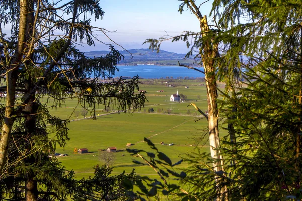 Fields Houses Village Shore Mountain Lake Top View Branches Trees — Stock Photo, Image