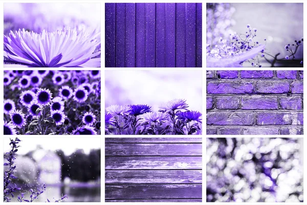 Collage Beliebter Hintergründe Texturen Holz Ziegel Metall Blumen Abstrakt Einem — Stockfoto