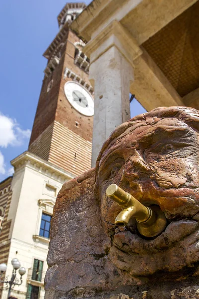 Grifo Una Antigua Fuente Medieval Calle Verona Italia — Foto de Stock