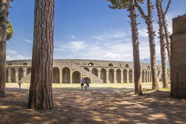 Antiguo Estadio Rodeado Pinos Centenarios Antigua Ciudad Pompeya Nápoles Italia — Foto de Stock