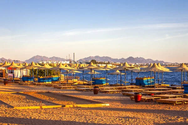 Empty sandy beach with sun beds and straw umbrellas, blue sea and mountains on the horizon on a summer evening evening at sunset, Egypt