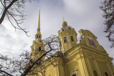 Peter ve Paul Fortress. Petropavlovskaya Krepost. Peter ve Paul Katedrali çan kulesi görünümü görünüm aşağıdan, etrafında ağaçlar, St. Petersburg, Rusya Federasyonu
