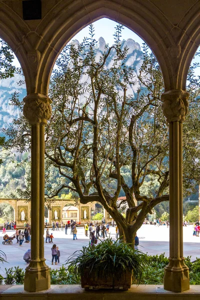 View Square Mountains Silhouette Tree Arch Basilica Santa Maria Montserrat Stock Picture