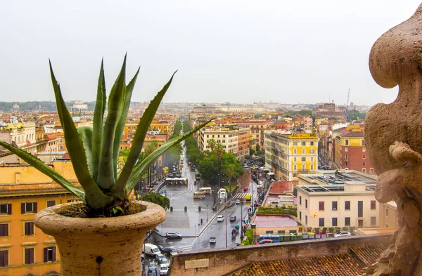View of Rome from above, from roof of vatican museum in cloudy rainy weather. Green leaves of indoor flower in pot, piece of sculpture of decorative trim and tiled roofs of houses in foreground, Rome, Italy