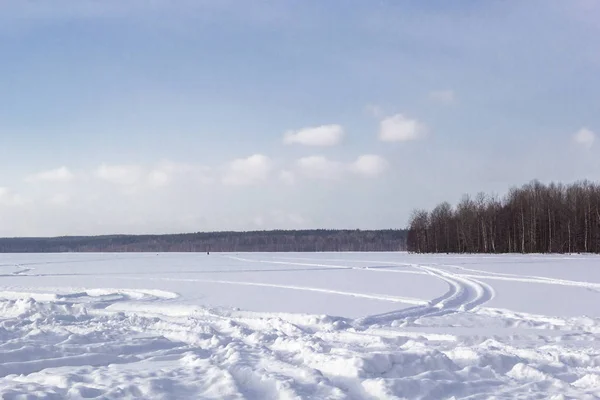 Vackert Vinterlandskap Med Fält Vit Snö Och Skog Vid Horisonten — Stockfoto