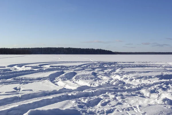 Panoramaudsigt Vinterlandskab Med Mark Hvid Sne Skov Horisonten Solrig Frostklar - Stock-foto