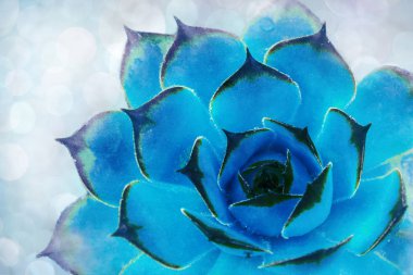 Panoramik cumulus bulutları ve se yukarıda dramatik moody gökyüzü