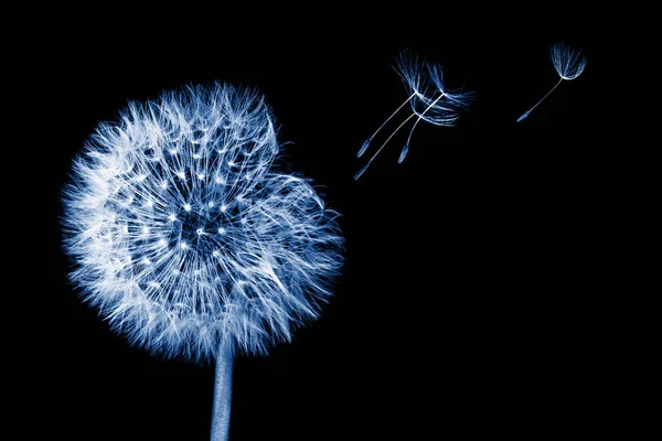 Esferas realistas abstractas, bolas de plástico brillante sobre fondo blanco —  Fotos de Stock