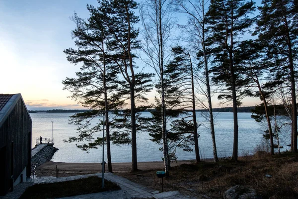 Casa Madera Bosque Pinos Orilla Del Golfo Finlandia Mañana Amanecer — Foto de Stock