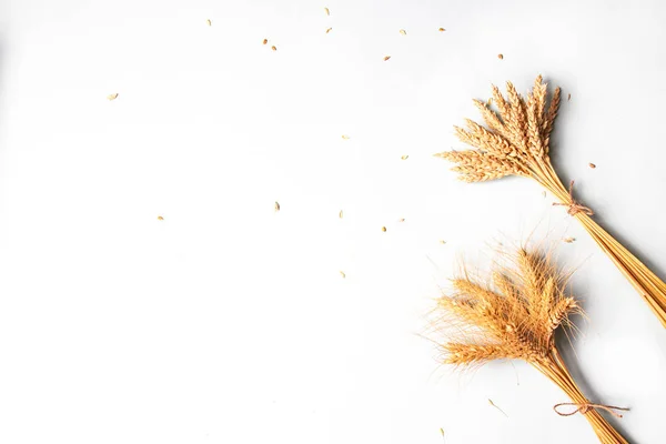 Skivor Gyllene Vete Och Råg Öron Torra Gula Spannmål Spikelets — Stockfoto