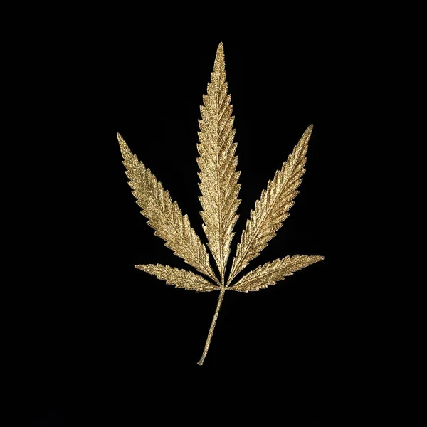 Золотий лист канабісу з п'ятьма пальцями листя, марихуана на чорному — стокове фото