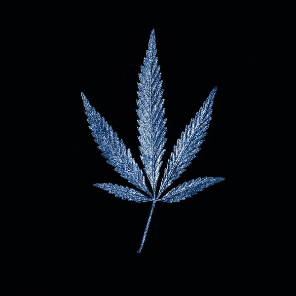 Cannabis folha dourada com cinco dedos folhas, maconha em blac — Fotografia de Stock