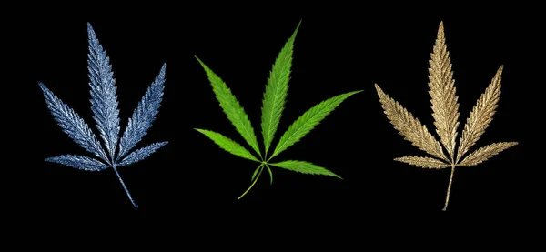 Abstract Banner Golden Green Classic Blue Color Leaves Cannabis Marijuana — Stock Photo, Image