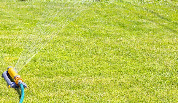 Watering lawn. Irrigation system lawn sprinkler spray water over fresh green grass in garden on summer morning in light outdoors sun with natural blurry background. Close-up, wide format, copy space