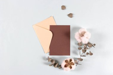 Boş kağıt zarflar, davetiye mektupları, okaliptüs yapraklı mektuplar ve mavi arka planda pamuk çiçekler, model, düz yatak, üst manzara. Doğal organik güzellik ürünü