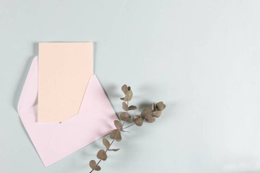Boş kağıt zarflar, davetiye mektupları, arka planda okaliptüs yaprakları olan mektuplar, model, düz yatak, üst görünüm. Doğal organik güzellik ürünü
