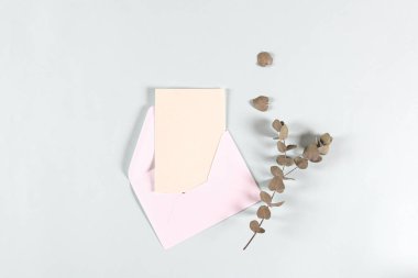 Boş kağıt zarflar, davetiye mektupları, arka planda okaliptüs yaprakları olan mektuplar, model, düz yatak, üst görünüm. Doğal organik güzellik ürünü