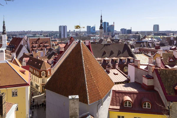 爱沙尼亚塔林旧城的全景景观 空中天际线 房屋屋顶和景观 — 图库照片