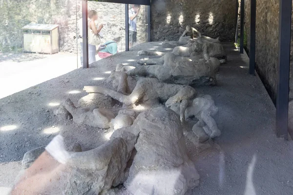Antik Roma şehri Pompei 'nin kurbanları Vezüv Dağı, Napoli, İtalya' nın patlaması sonucu ölmüştür..