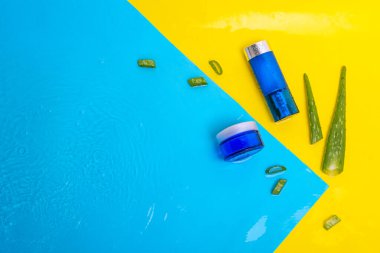 Boş krem kavanozu, yaşlanma önleyici kolajen yüz ve yapraklar Aloe vera sulu kaktüsler mavi su yüzeyi, üst manzara. Yaz kozmetik ürünleri kavramını. Doğal organik güzellik ürünü